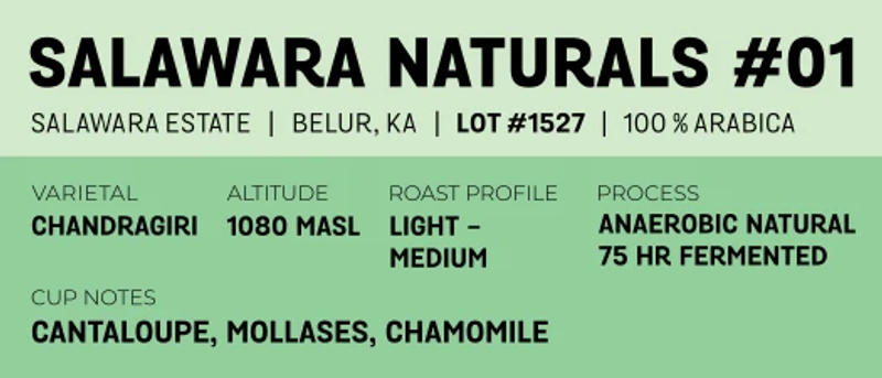 Salawara Naturals #01 — Light Medium roast Arabica coffee from Belur, Karnataka