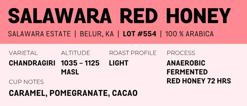 Salawara Red Honey — Light roast Arabica coffee from Belur, Karnataka