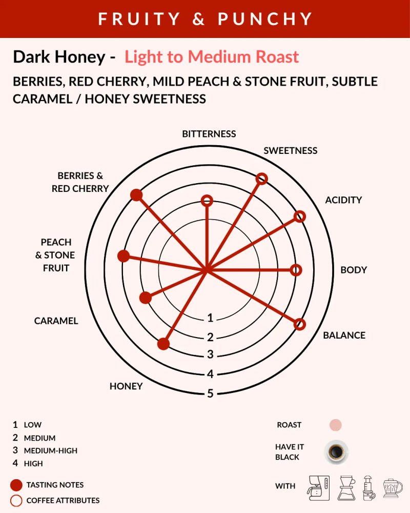 Dark Honey - Light to Medium Roast — Medium Roast roast Arabica coffee from Chikkamagaluru