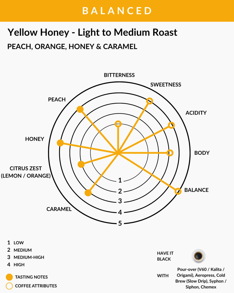 Yellow Honey - Light to Medium Roast — Light to Medium Roast roast Arabica coffee from Karnataka