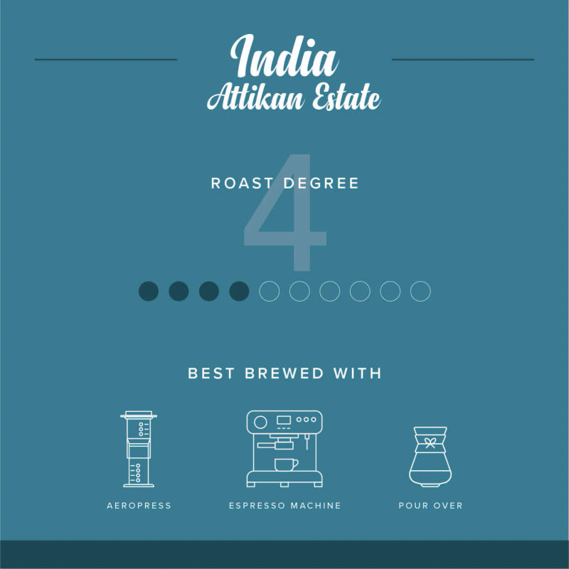 Attikan Estate — 4/10 - Light roast Arabica coffee from Chikkamagaluru