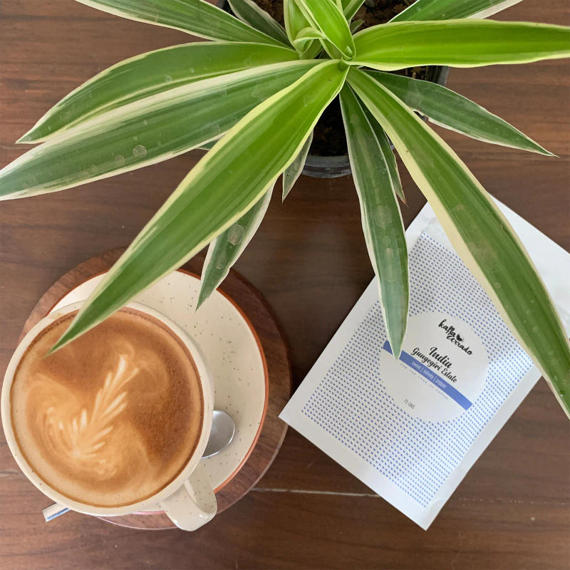 Dark Roast Tasting Pack — dark roast Arabica coffee
