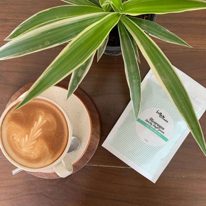 Dark Roast Tasting Pack — dark roast Arabica coffee