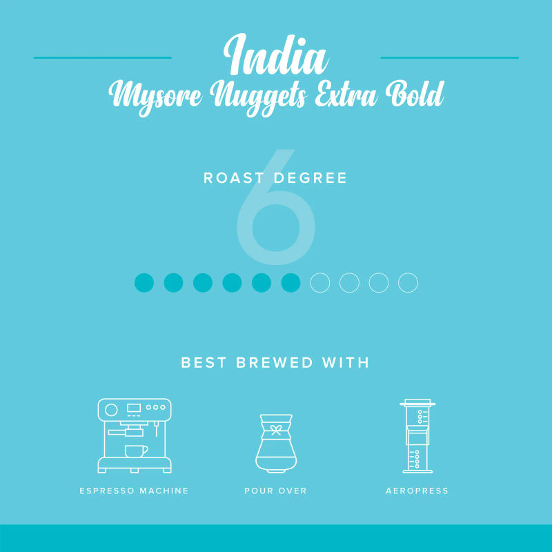 Mysore Nuggets Extra Bold — Medium roast Arabica coffee from Chikkamagaluru