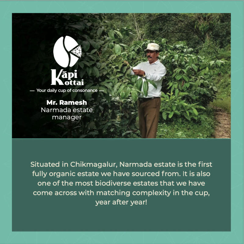 Ārabhi — Arabica coffee from Chikmagalur