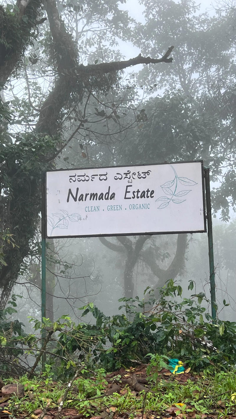 Ārabhi — Arabica coffee from Chikmagalur