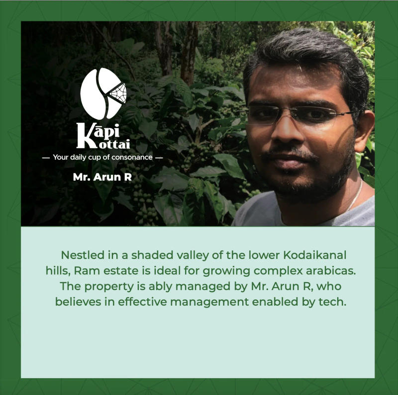 Nalinakānti — light roast Arabica coffee from Kamanur Near Thandigudi