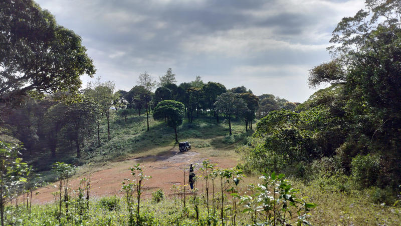 Shankarābharanam — Arabica coffee from Thalanar