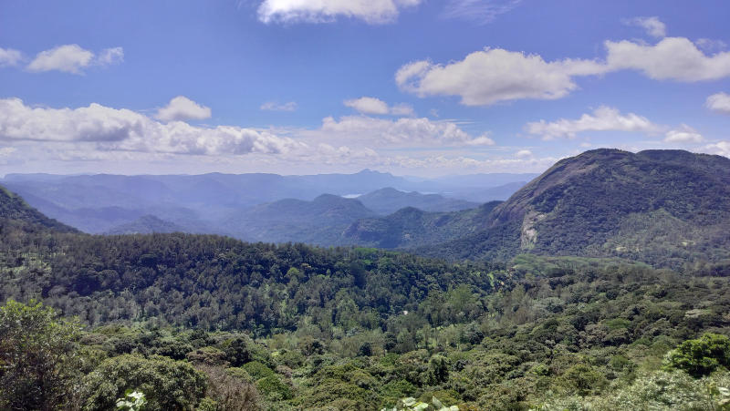 Shankarābharanam — Arabica coffee from Thalanar