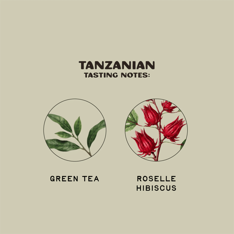Tanzanian — Medium roast coffee from Tanzania