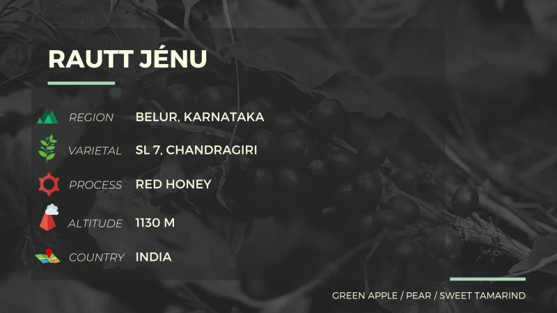 Rautt Jénu — light roast Arabica coffee from Belur, Karnataka