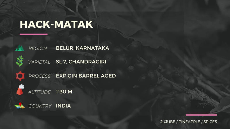 Hack-Matak — light roast Arabica coffee from Sakleshpur / Belur