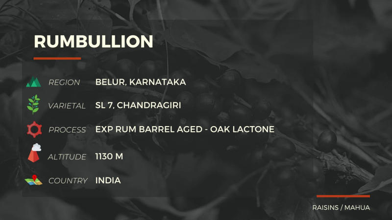 Rumbullion — medium_dark roast Arabica coffee from Sakleshpur / Belur