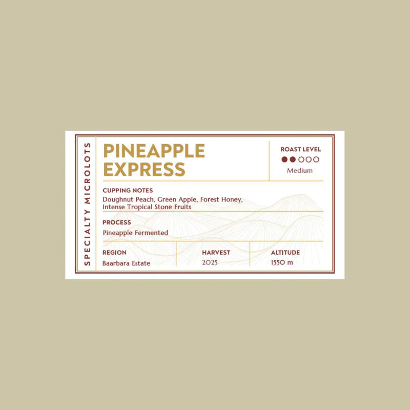 Pineapple Express — medium roast roast Arabica coffee from Baba Budangiri, Chikmagalur