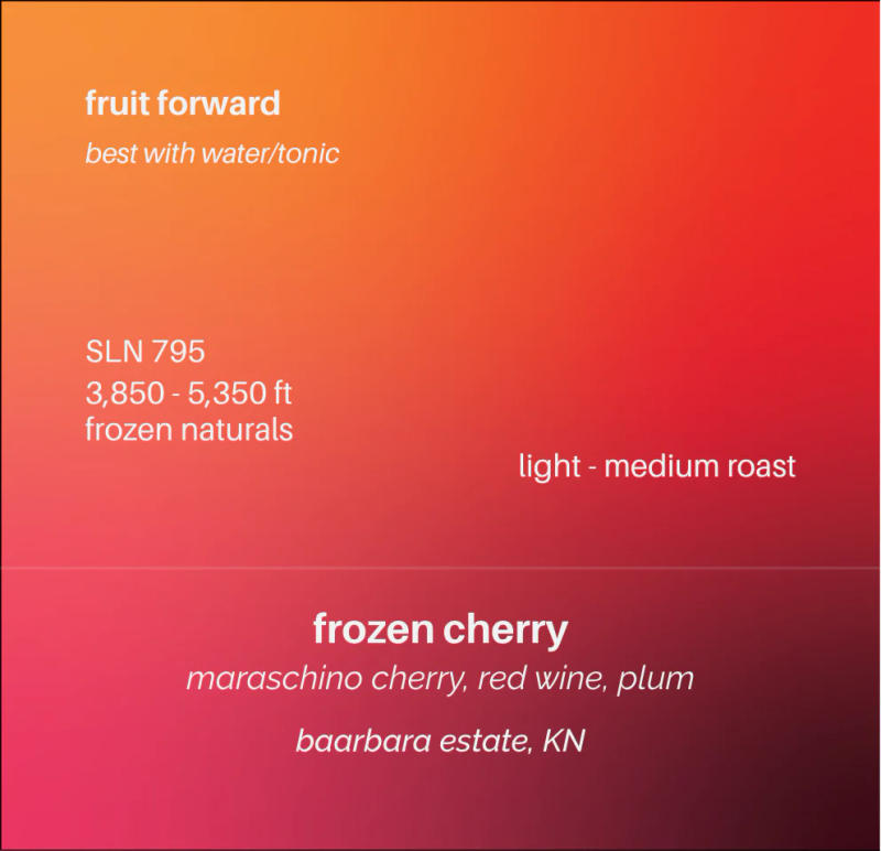 Frozen Cherry — Light–Medium roast Arabica coffee from Karnataka
