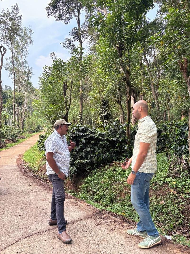 Karadigod Estate, Siddapur — Arabica coffee from Coorg