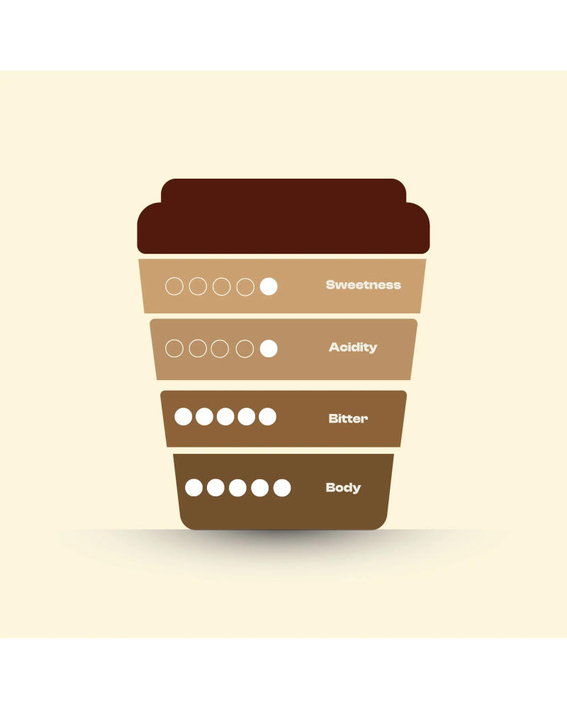 The Night Infusion — MEDIUM DARK ROAST roast 50% Arabica, 50% Robusta coffee