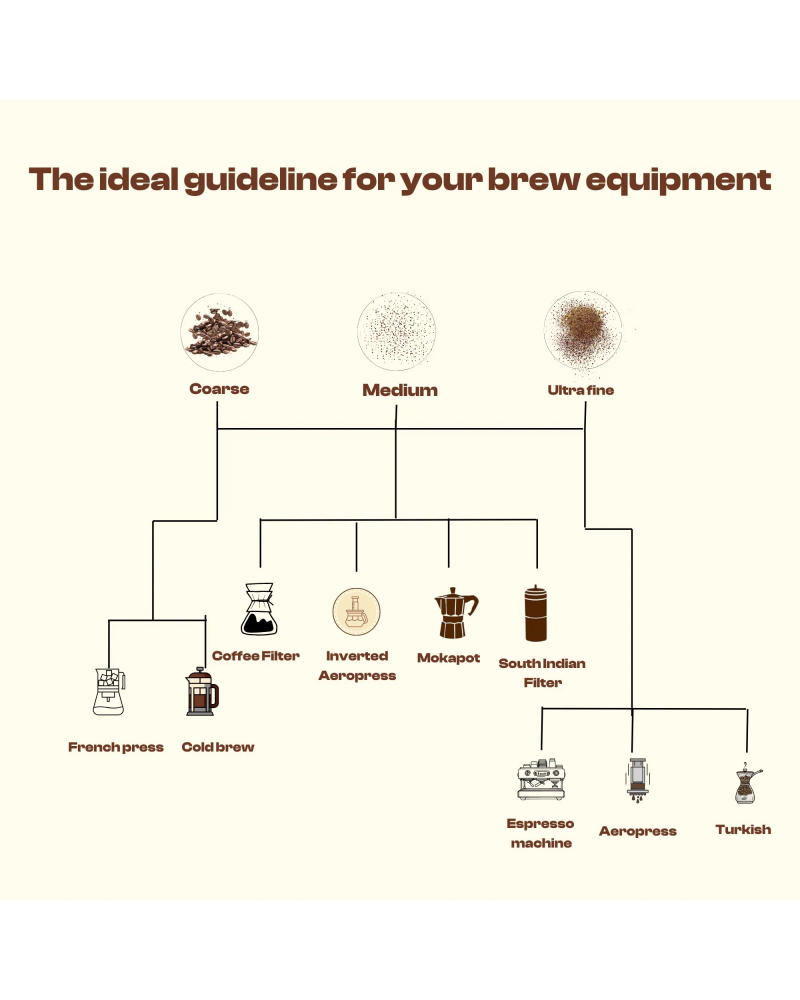 The Sun-Roast Balance — MEDIUM DARK roast Robusta coffee from Wayanad