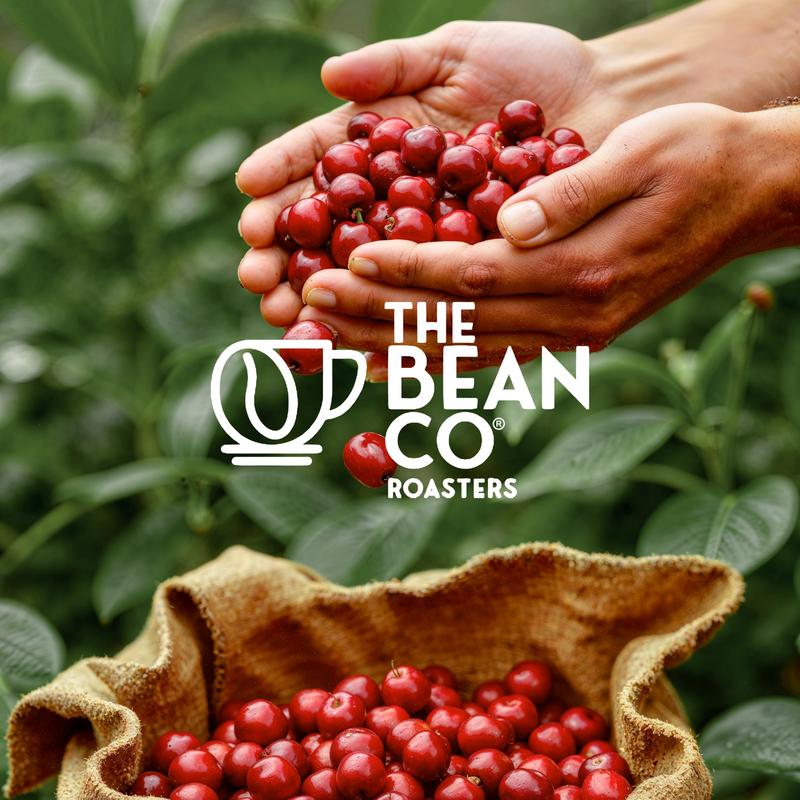 Output-Logo With Beans