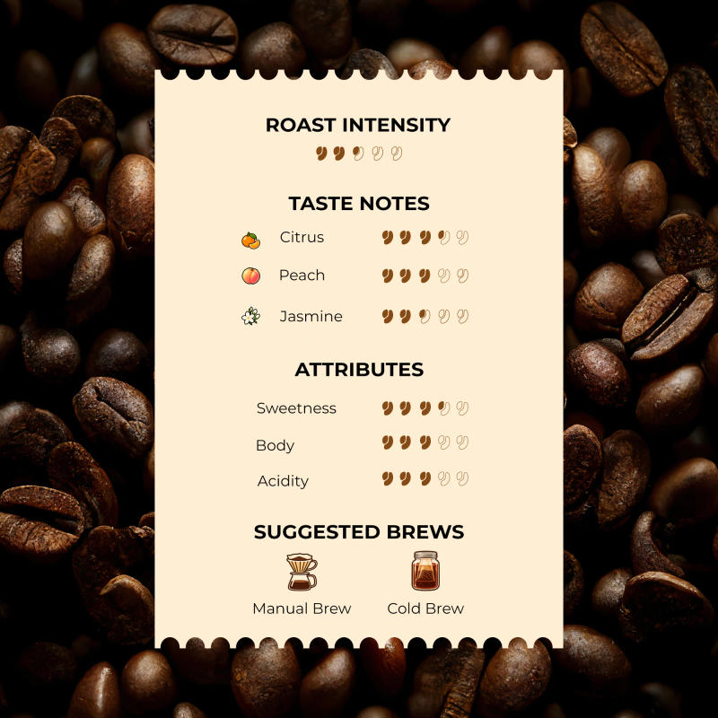 Orange Fruit Co-Fermented Coffee — Arabica coffee