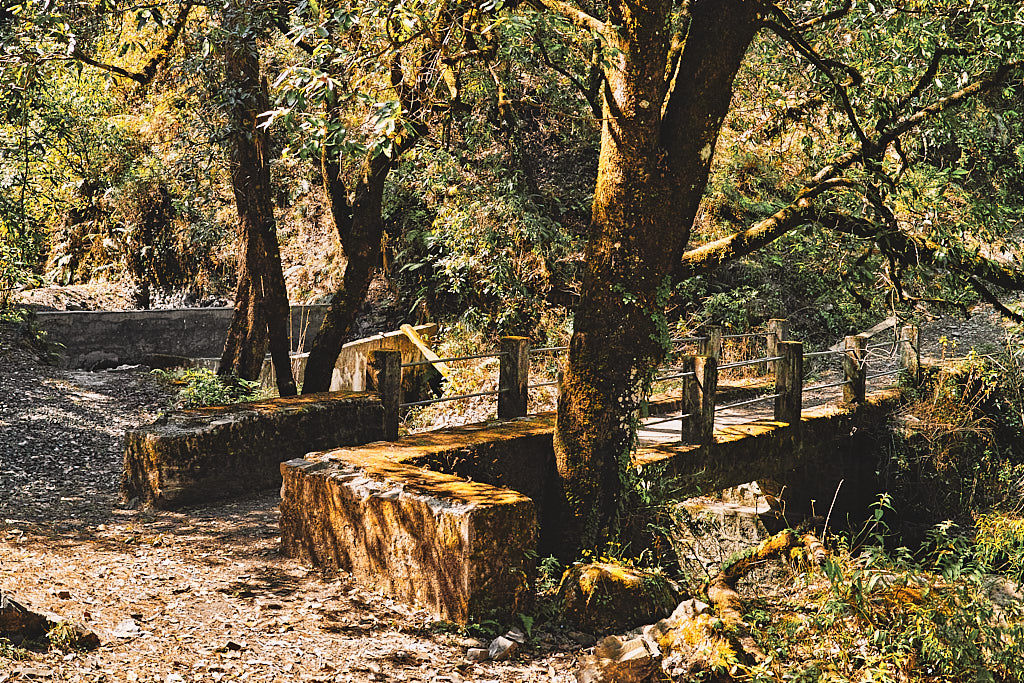 Cross the stream over a concrete bridge and the trail gently climbs through some terraced fields on to Kolti village.