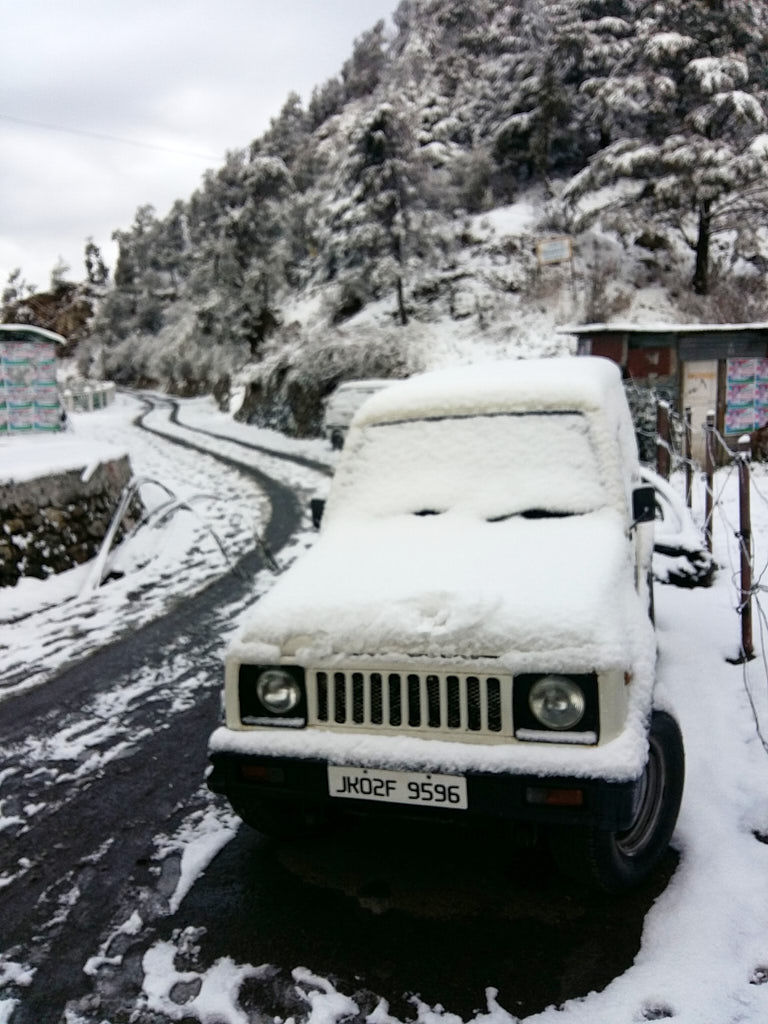 A white Holi at Mussoorie