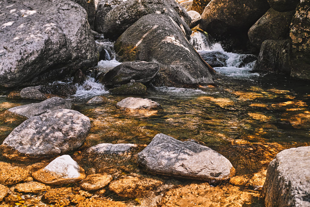 Leopard watering hole - route to Kareri Lake