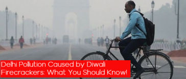 Delhi Pollution