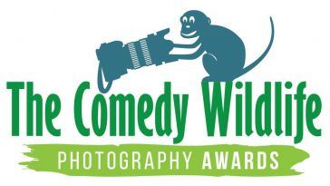 Comedy Wildlife Photography Awards