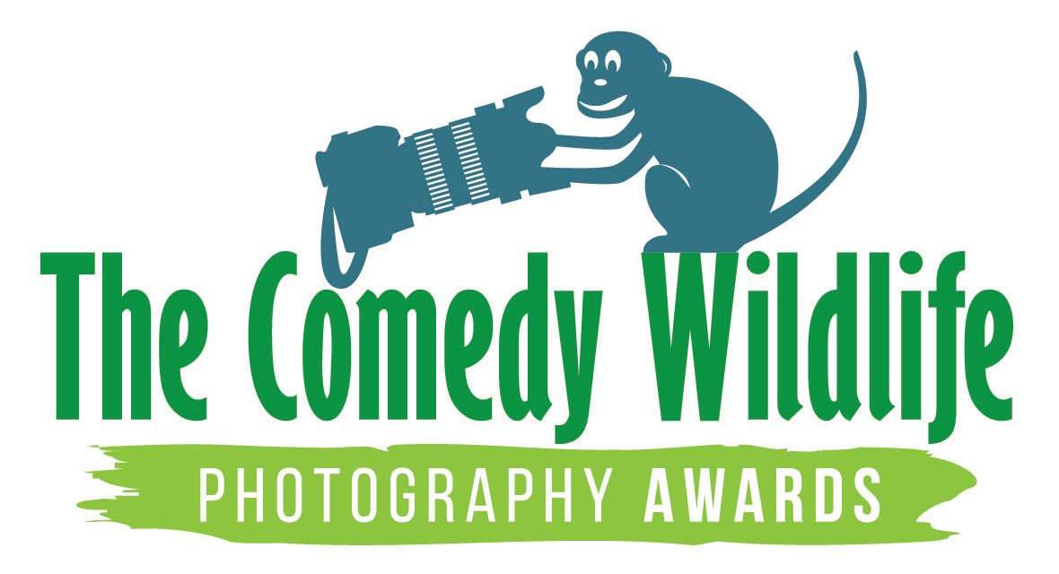 Comedy Wildlife Photography Awards