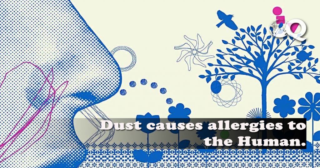 Dust Allergy Remedies