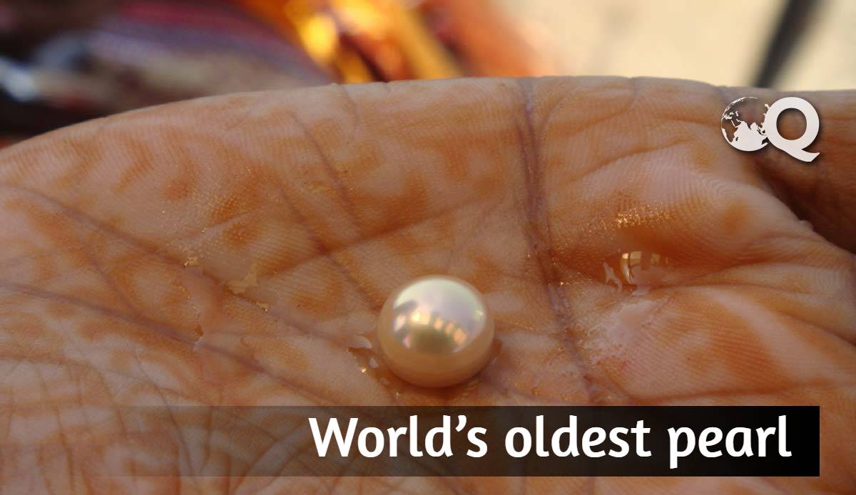 World’s oldest pearl