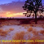 The Ancient Mojave Desert: Location, Climate and Facts