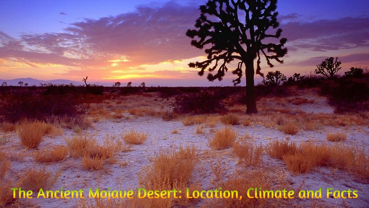 The Ancient Mojave Desert: Location, Climate and Facts
