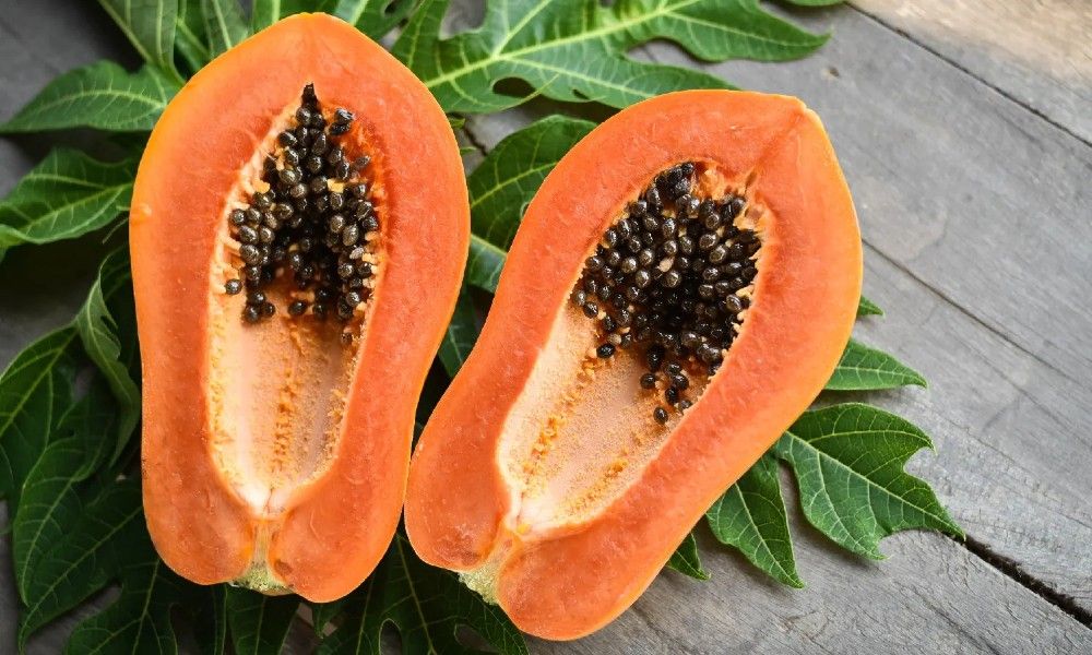 Papaya Has Antioxidant Properties