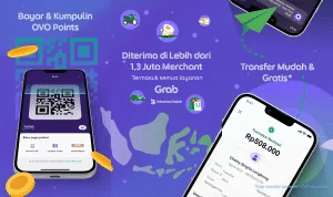 ovo aplikasi transfer antar bank gratis