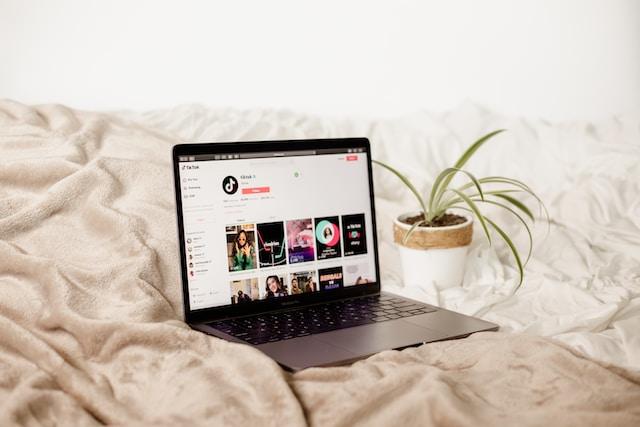 TikTok, latest features, personalized algorithms, effects and filters, duet feature, stitch feature, text and stickers, TikTok Live, privacy and safety settings,