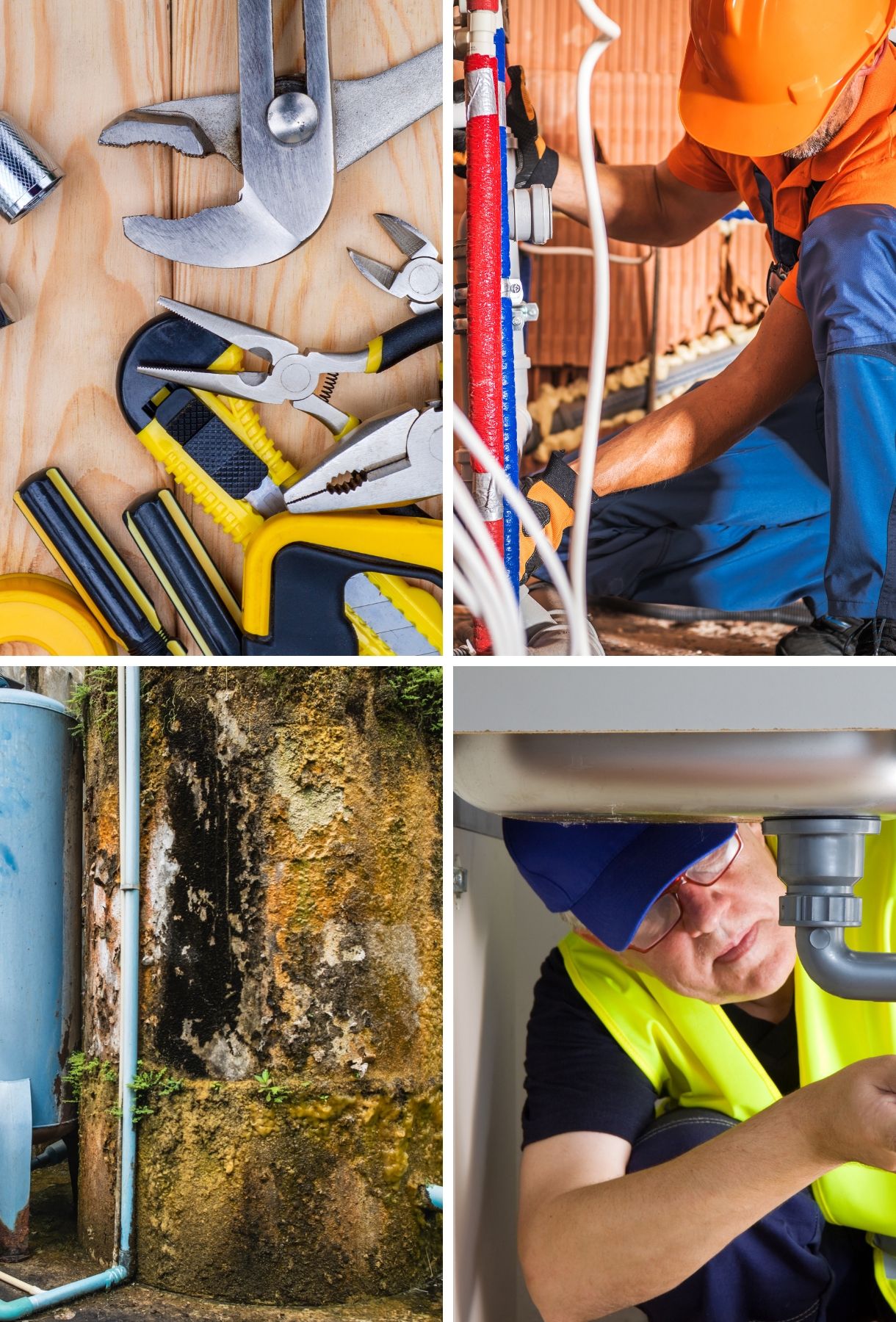 Best Sprinkler System Installation in Lumpkin, GA