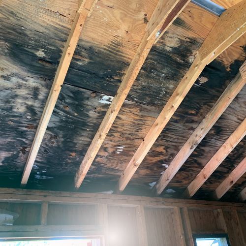 FAQS about Top Rated Professional Mold Removal Services in Sherman, IL