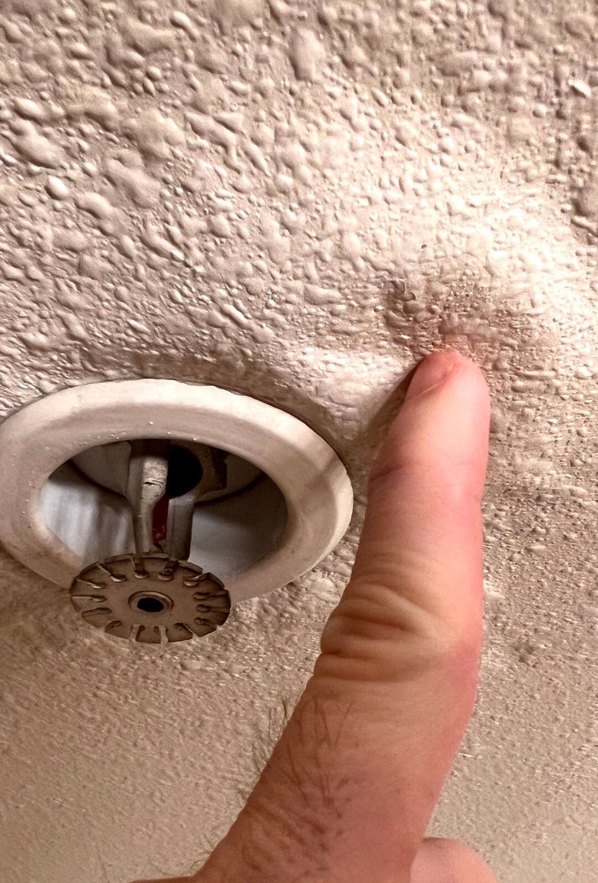 FAQS about Emergency Water Damage Restoration Services in Knoxville, TN
