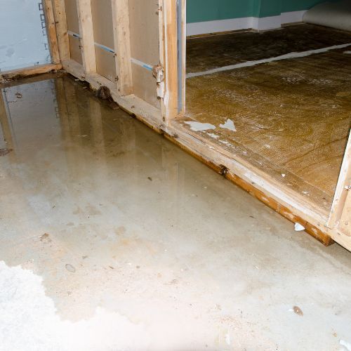 FAQS about Water Damage Restoration Services in Chicago Heights, IL