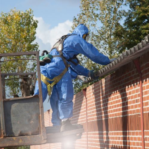 FAQS about Crawl Space Mold Removal Services in Simpson, NC