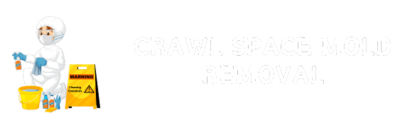 Austinville, IA Crawl Space Mold Removal