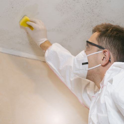 FAQS about Professional Mold Testing Services in Corona, NY