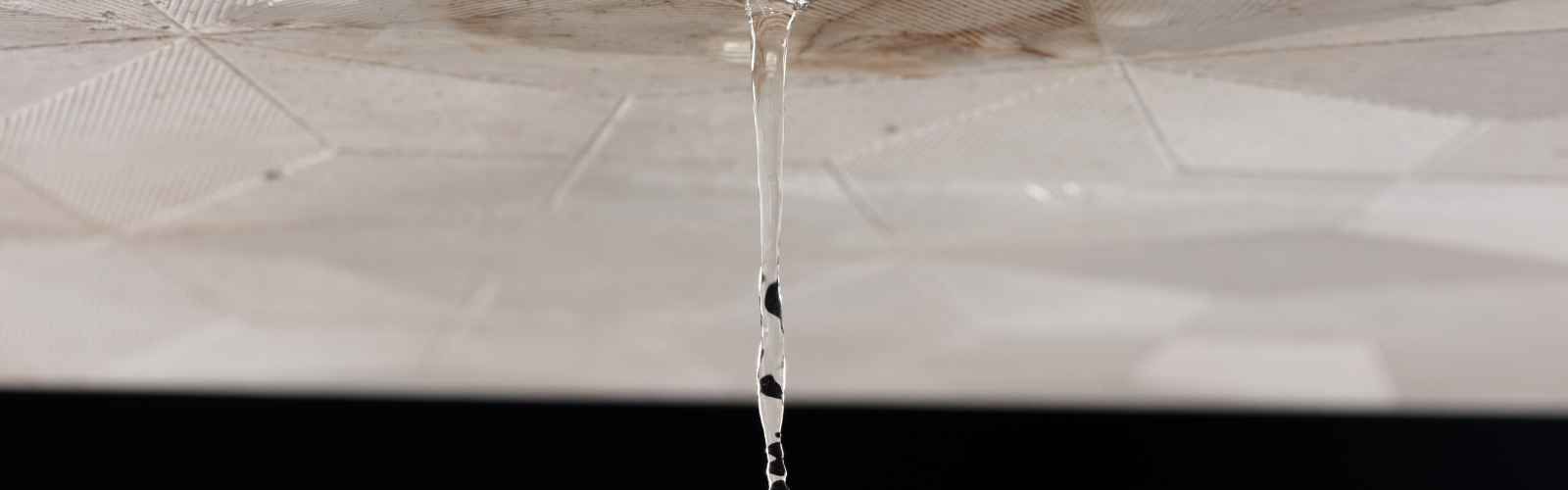 Leak Detection and Repair