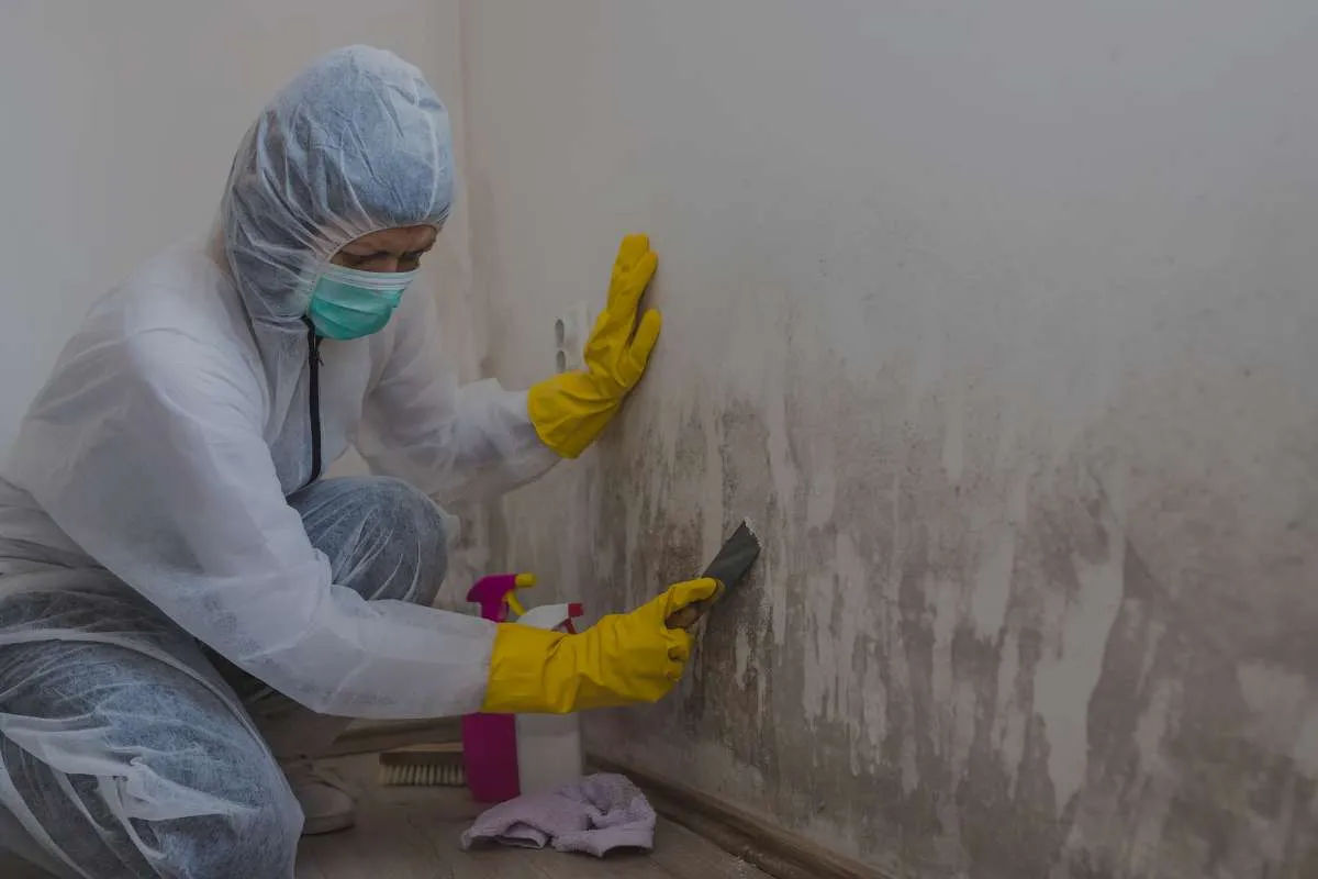 Water Damage Restoration in Buffalo, NY 14227 - Expert Cleanup & Repair Near Me