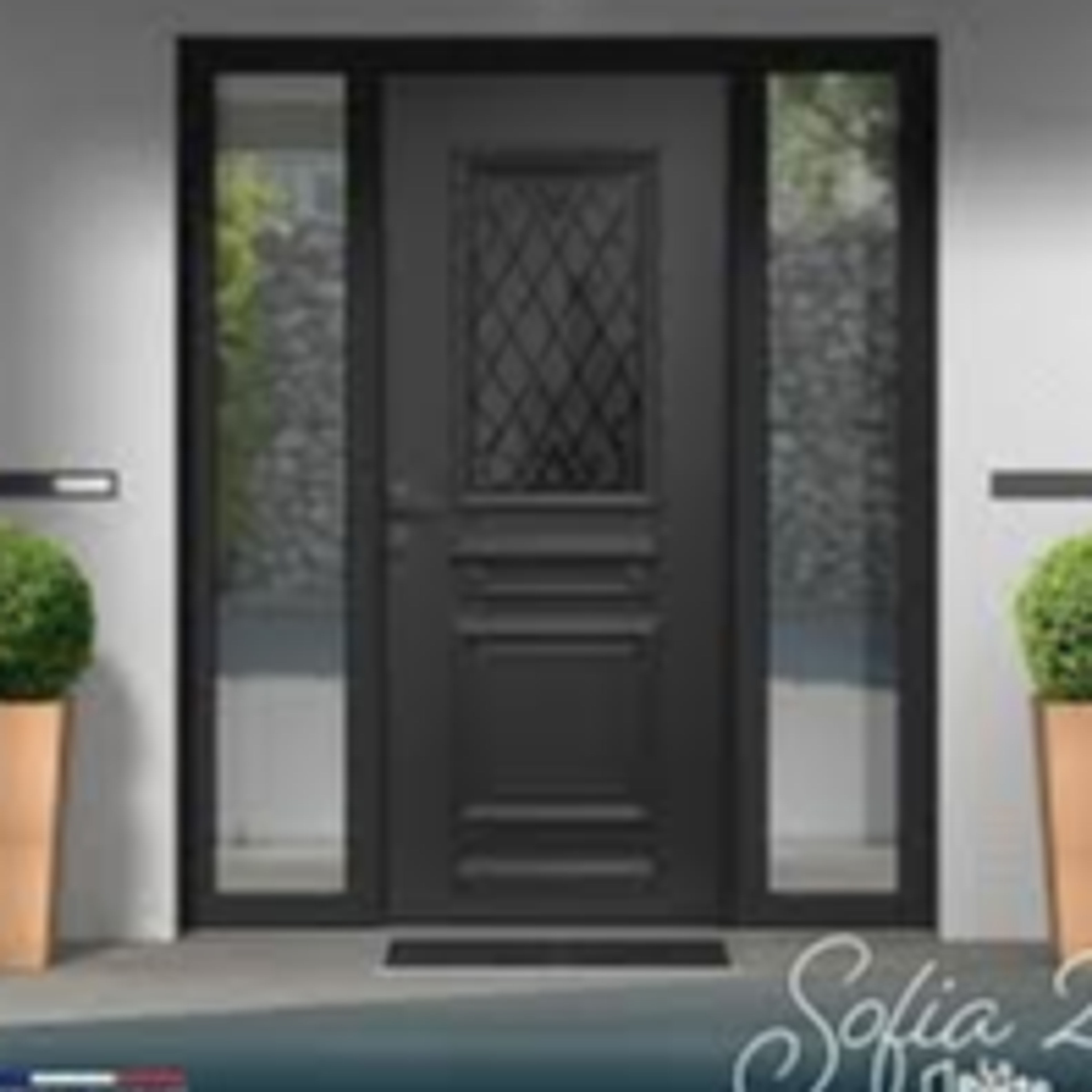 BOITE A FUMEES VIISIO E/S 31 - EB/SB 31