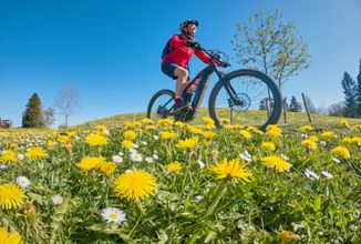 Cyklo dovolená na elektrokole v Českém Švýcarsku (2 noci)