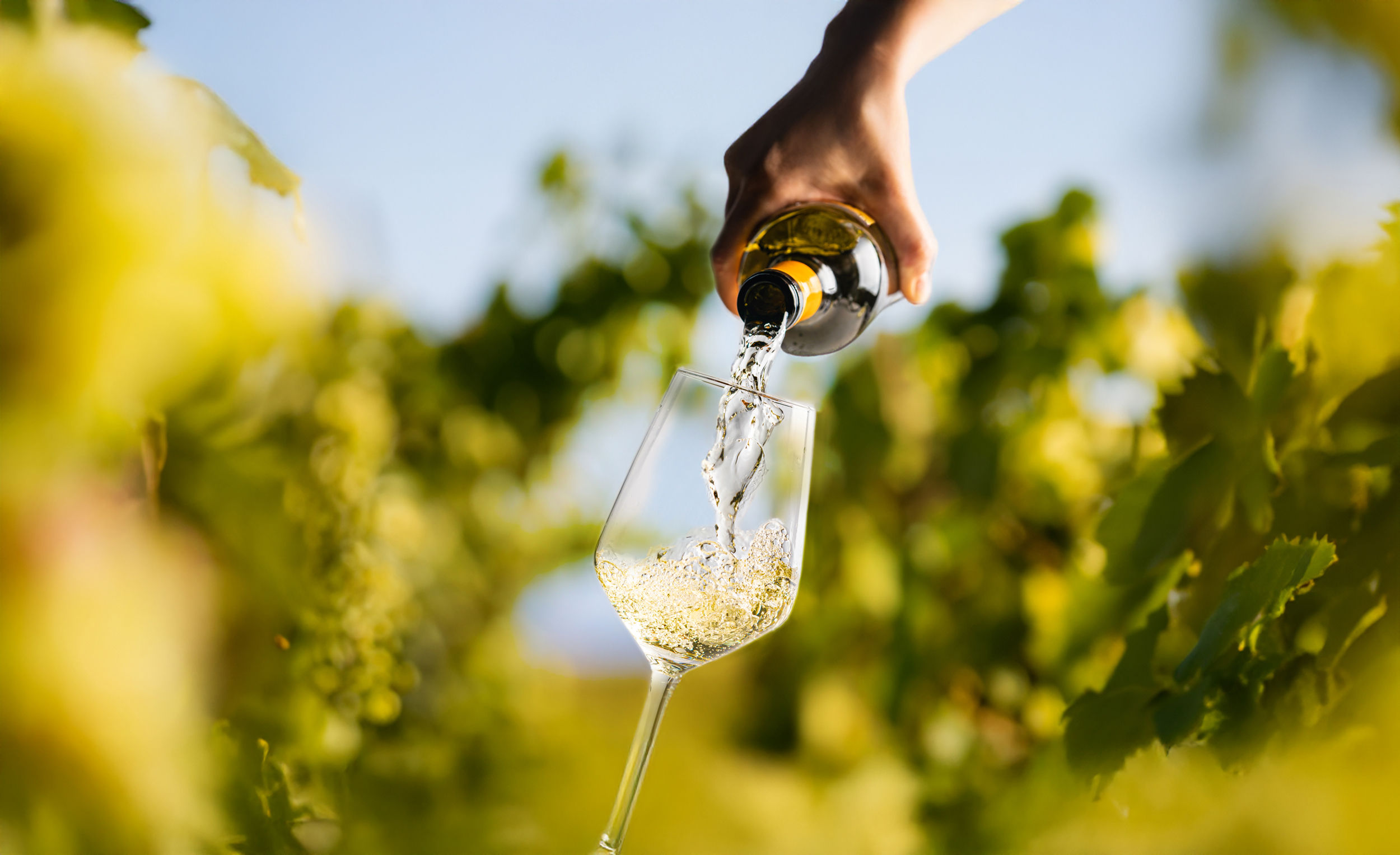 Holiday in South Moravia – experiences at every turn
