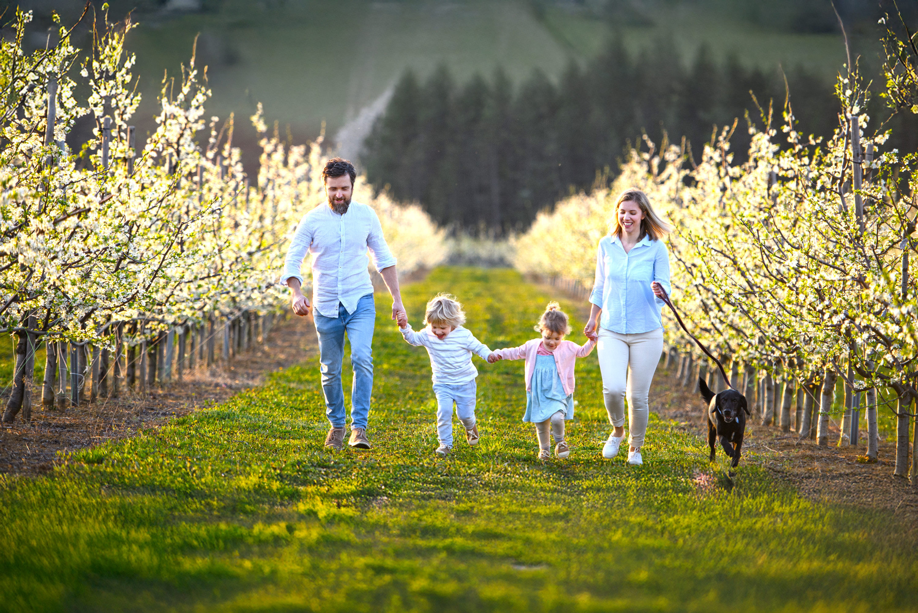 May 2025 is full of experiences! Castles, nature, wellness and thermal baths await